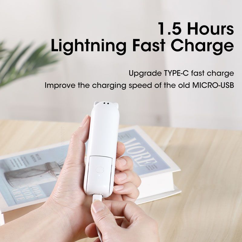 Portable Handheld Fan w/ USB