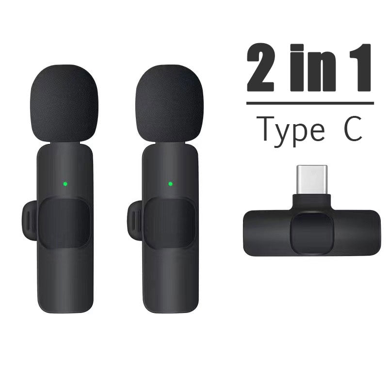 Mini Microphone