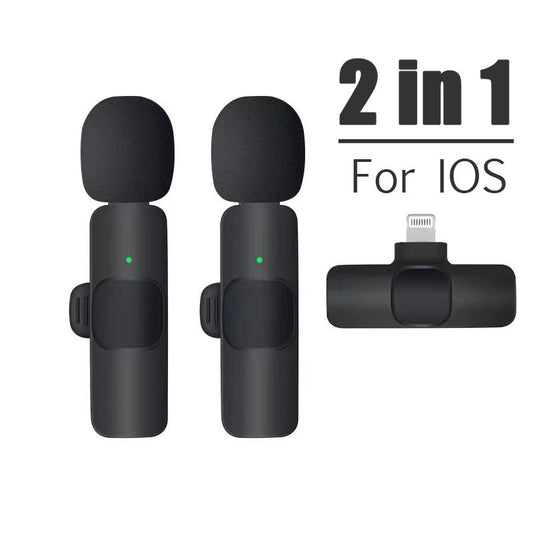 Mini Microphone