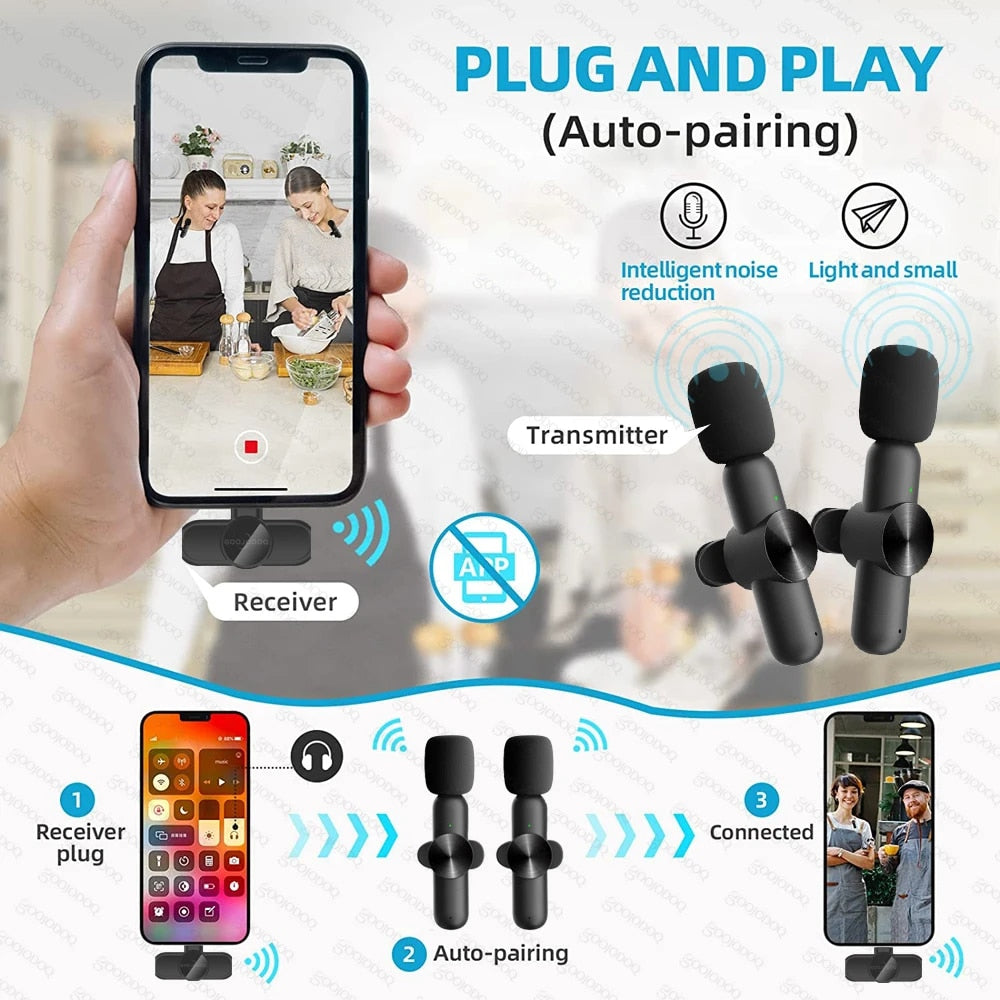 Mini Microphone