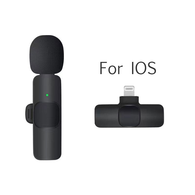 Mini Microphone