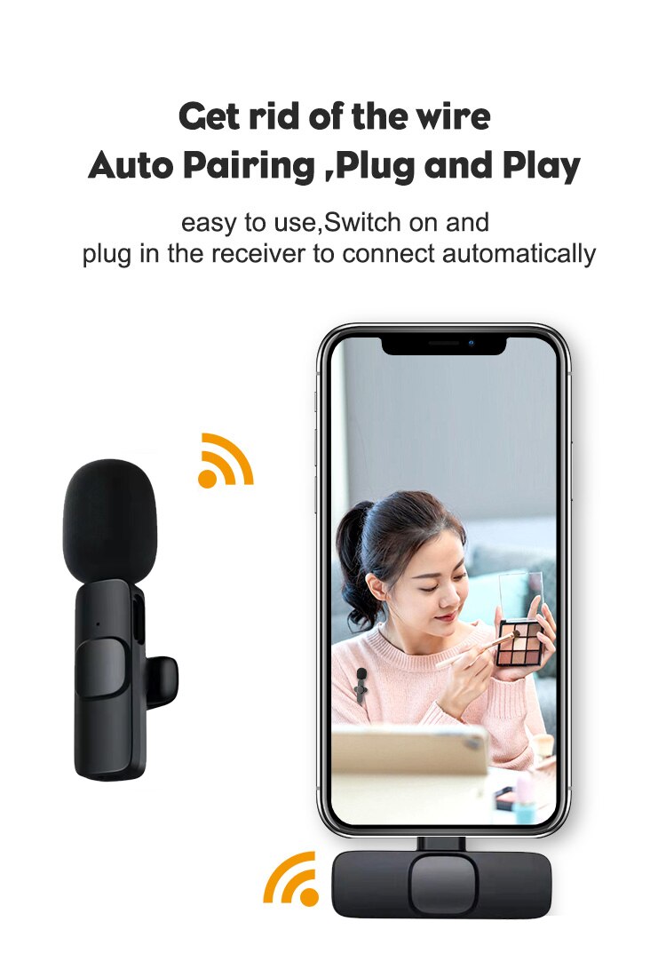 Mini Microphone
